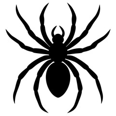 Spider silhouette isolated on white background