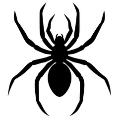 Spider silhouette isolated on white background