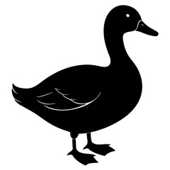 Standing duck silhouette isolated on white background