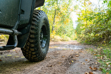 Fototapeta premium ATV, riding on trail through wooded scenery, north woods all terrain vehicle, UTV