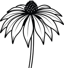 Coneflower silhouette vector illustration 