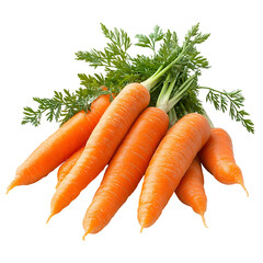 Fresh Orange Carrots Bunch Healthy Vegetables,