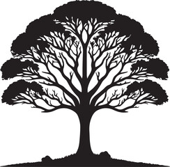 Obraz premium tree silhouette isolated on white 