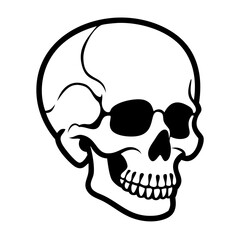 Skull half-turned illustration in black outline style