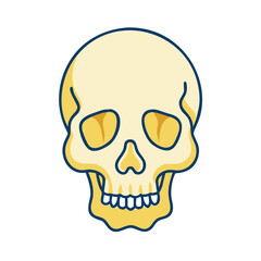 Fototapeta premium Frontal view of human skull in flat style