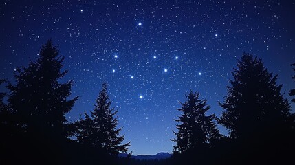Fototapeta premium Night Sky Majesty: Silhouetted Trees Under a Starry Canopy