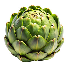 Close up of a green artichoke head on a clean Transparent Background, highlighting its layered petals