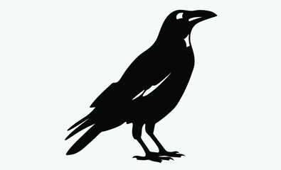 Raven bird silhouette vector, black crow icon, standing raven illustration, spooky bird shape, Halloween animal graphic