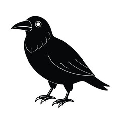 Fototapeta premium scary crow line art on white background (1).eps