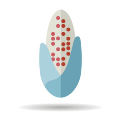 Corncob vector isolated icon Agriculture sign