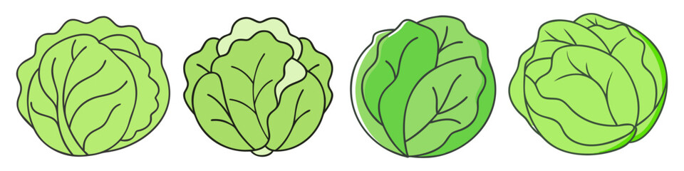 cabbage icon, cabbage vector illustration-simple illustration of cabbage, perfect for cabbage logos and icons