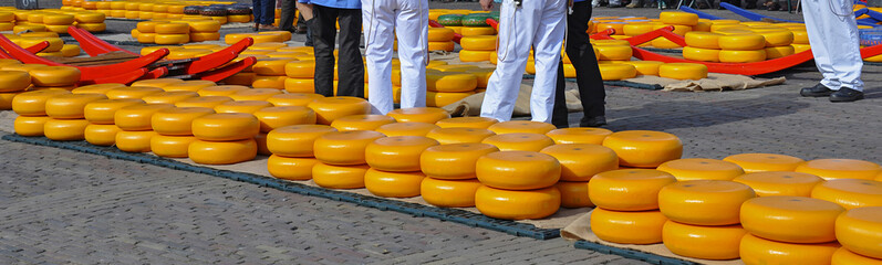 Transporting and weighing cheese during Friday's Cheese Market in Alkmaar, Netherlands. Cheese auction