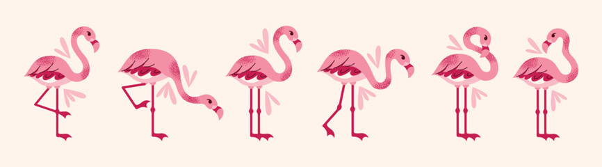 Fototapeta premium Set of stylized pink flamingos in various poses. Flat vector cartoon illustration isolated on light background. Tropical bird. Summer and exotic nature concept.