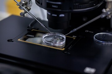 IVF microinjection procedure under microscope in fertility laboratory