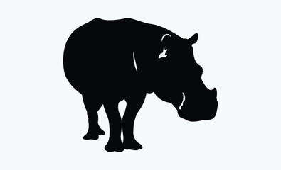 Hippo silhouettes vector  illustration 