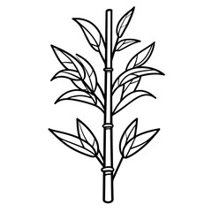 Vector Illustration of Natural Sweet Sugar Cane Plant. Sugarcane Plant Simple Design.