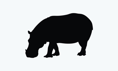 Hippo silhouettes vector  illustration 