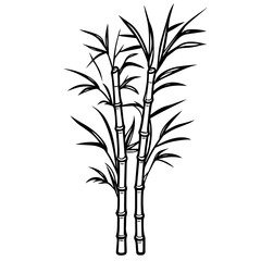 Vector Illustration of Natural Sweet Sugar Cane Plant. Sugarcane Plant Simple Design.