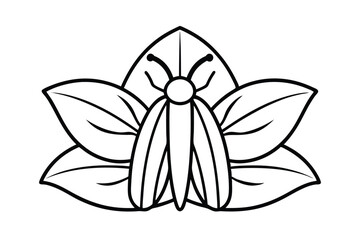 Elegant Moth On Leaves Illustration Simple Black And White Line Art For Coloring Pages And Nature Designs