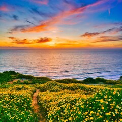 sunset over the sea with flowers