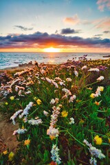 sunset over the sea with flowers