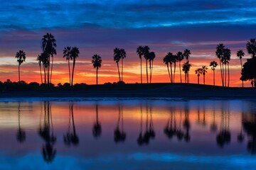 sunset at the beach with palm trees