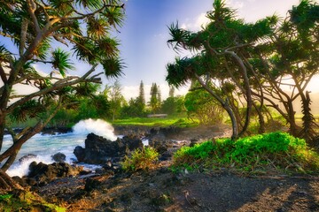 splashing waves in hawaii