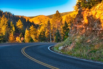 road in autumn