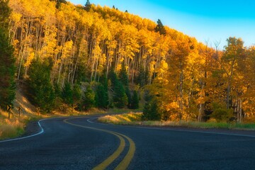 road in autumn