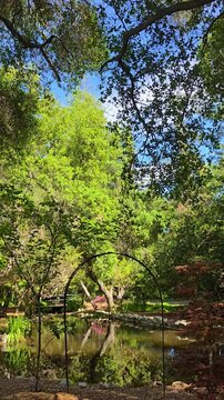 footage of a gorgeous spring landscape with a pond, lush green trees and flowers at Descanso Gardens La Ca&ntilde;ada Flintridge California USA