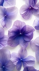 Close-up of purple flowers