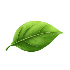 Obraz premium Top-down view of a fresh green rhododendron leaf with visible veins and natural imperfections on transparent png background. Ai generated