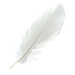 Obraz premium Close-up of a delicate feather floating mid-air against a white backdrop on transparent png background. Ai generated
