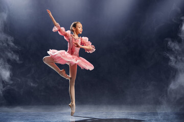 Graceful Ballet Performance by Young Dancer in Pink Tutu © Maria Moroz