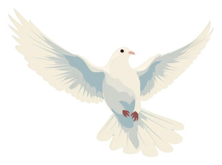 PNG Dove animal bird wing.