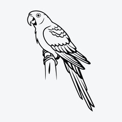 Fototapeta premium Amazon Parrot, Silhouette White background illustration, Generative Ai