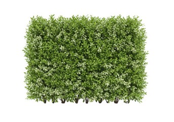 Naklejka premium Rectangular green foliage hedge panel