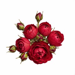 Naklejka premium Red roses bouquet with buds on a white background 