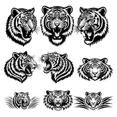
tiger head vector design and  illustration, Mascot silhouette of wild animal,