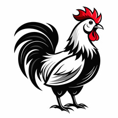 rooster isolated on white background  Vector icon illustration silhouette Graphics design image white background 