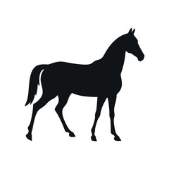Elegant Horse Silhouette Standing In Profile Isolated On White Background Graceful Equine Animal Symbol Equine Design Template