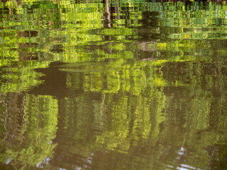 An abstract painting of nature. Created by the Amazon, the light and the trees and plants of the rainforest.