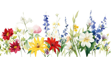 Obraz premium PNG White flower mix pattern nature plant.