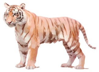 Fototapeta premium PNG Tiger wildlife animal mammal.