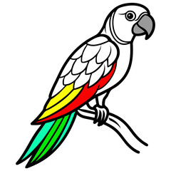 parrot on a branch