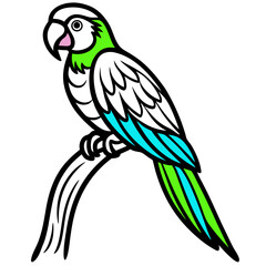 blue and yellow macaw