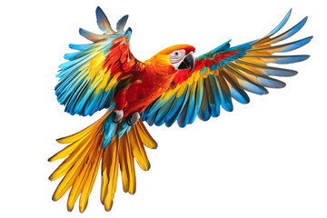 Fototapeta premium A vibrant macaw soars its wings a kaleidoscope of colors against a dark backdrop a symbol of freedom
