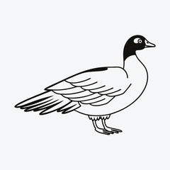 Obraz premium American Coot Silhouette White background illustration Generative Ai
