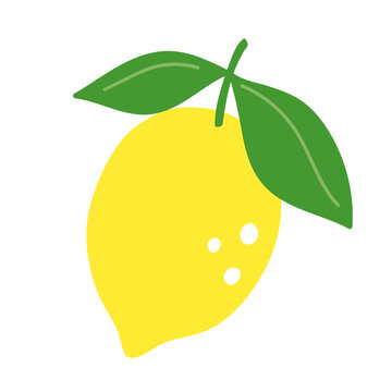 recommend clip art: Lemon citrus fruit hand drawn vector illustration