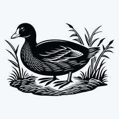 Fototapeta premium American Coot Silhouette White background illustration Generative Ai